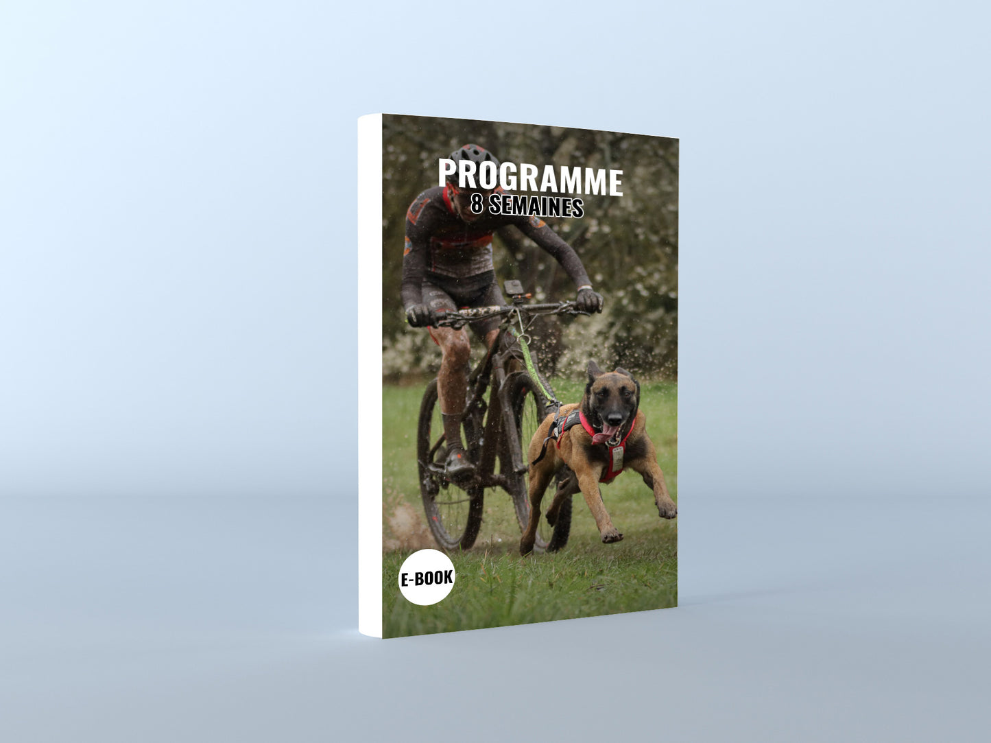 PROGRAMME 8/10/12 CANIVTT