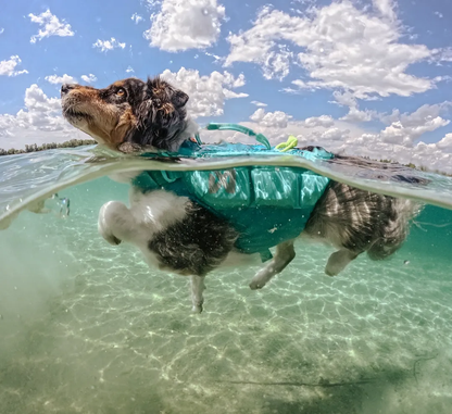 PROTECTOR LIFE JACKET