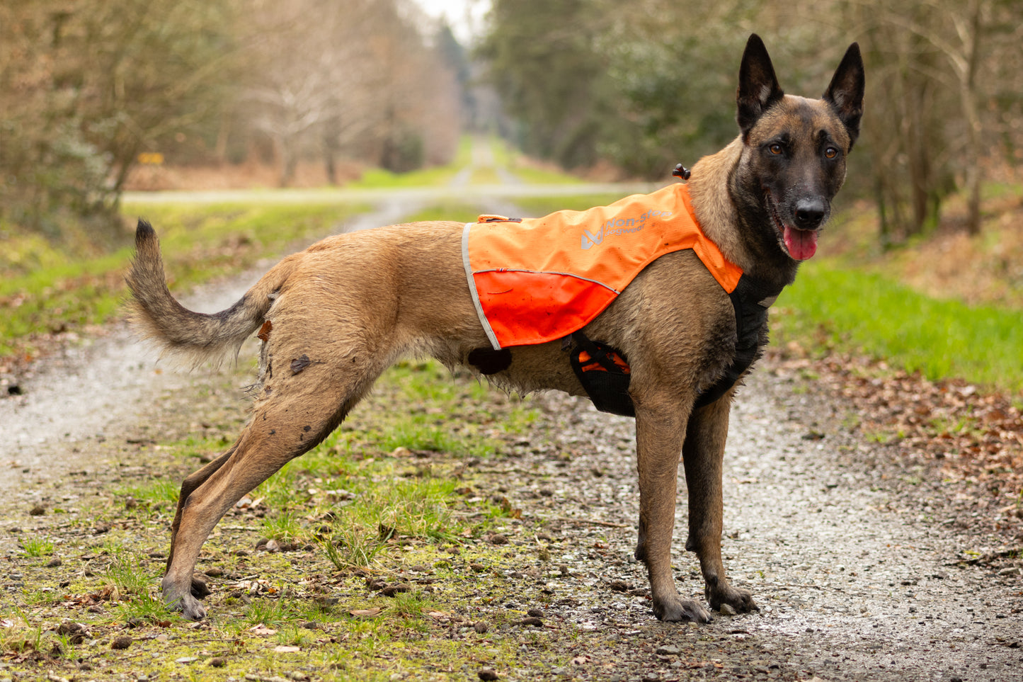 PROTECTOR VEST