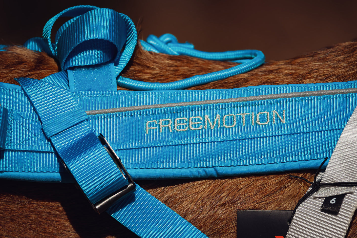 FREEMOTION HARNESS 5.0