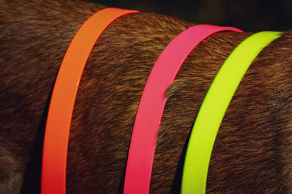 Collier Fluo