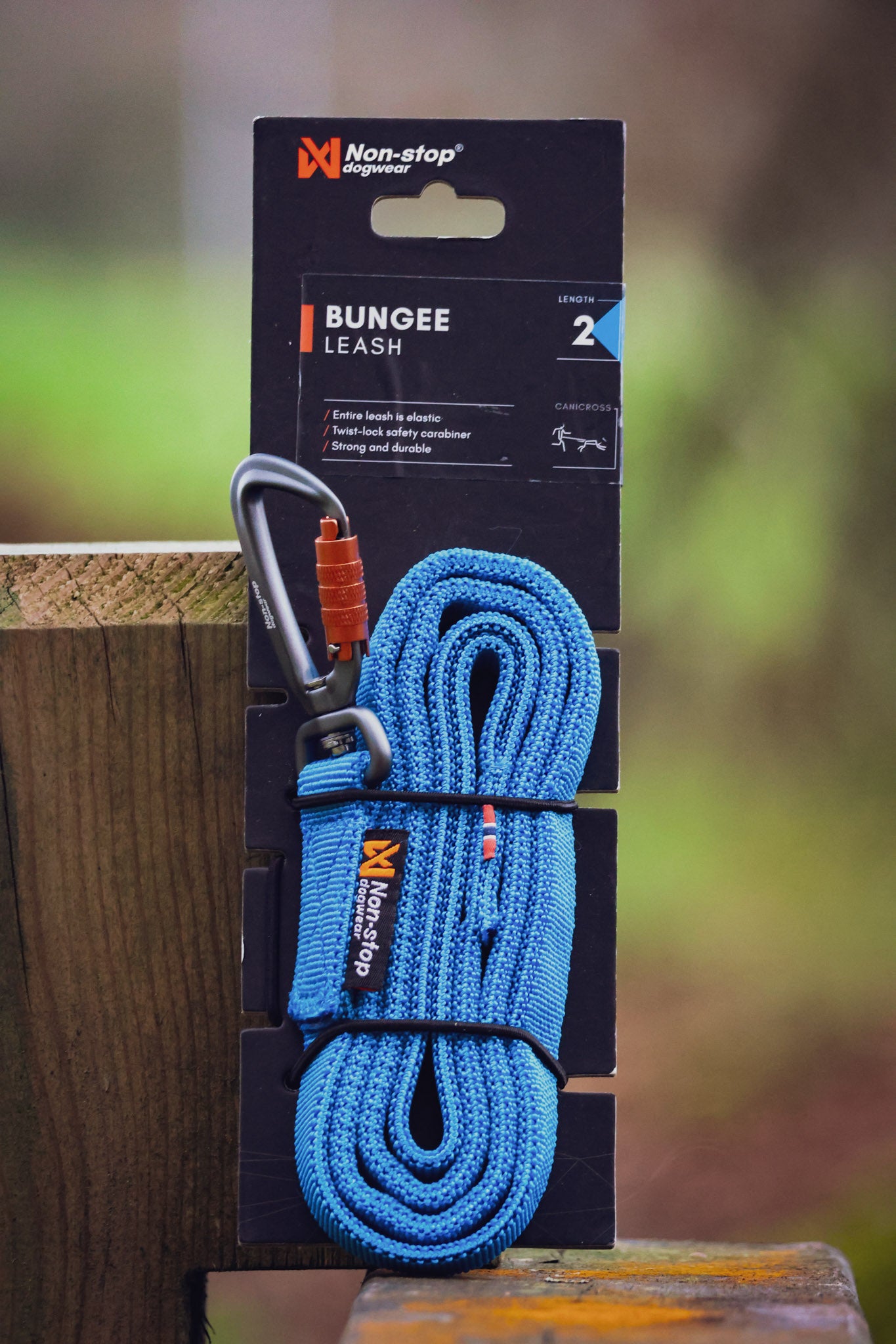 Bungee Leash