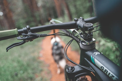 Bike Antenna