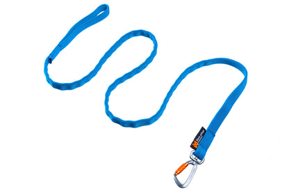 Bungee Leash VTT