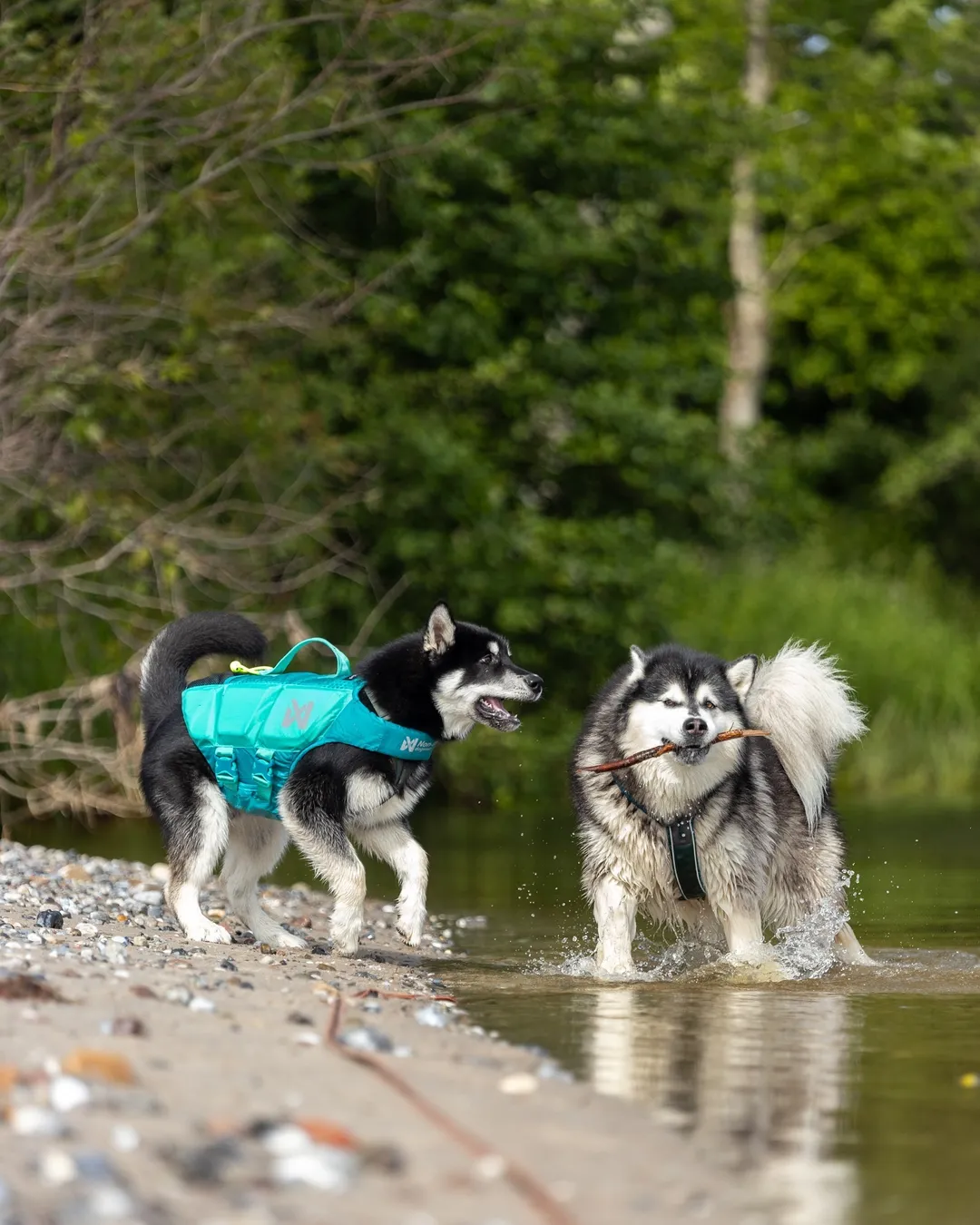 PROTECTOR LIFE JACKET