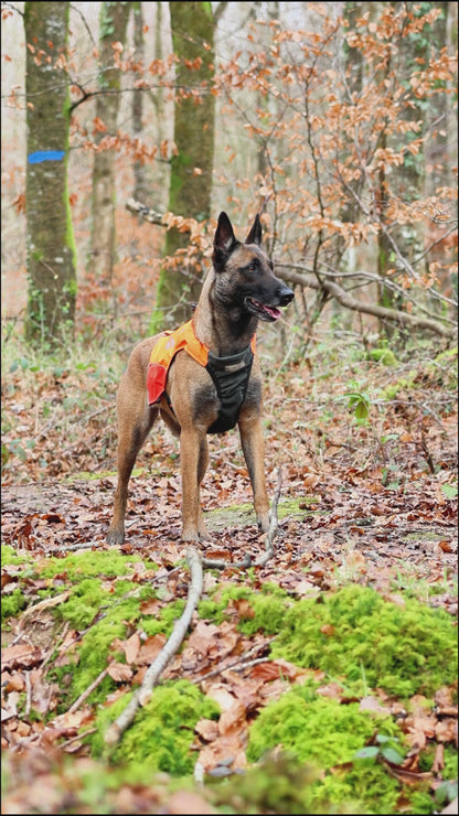 PROTECTOR VEST