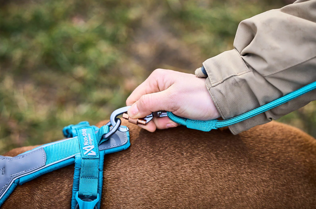 TREKKING ROPE LEASH