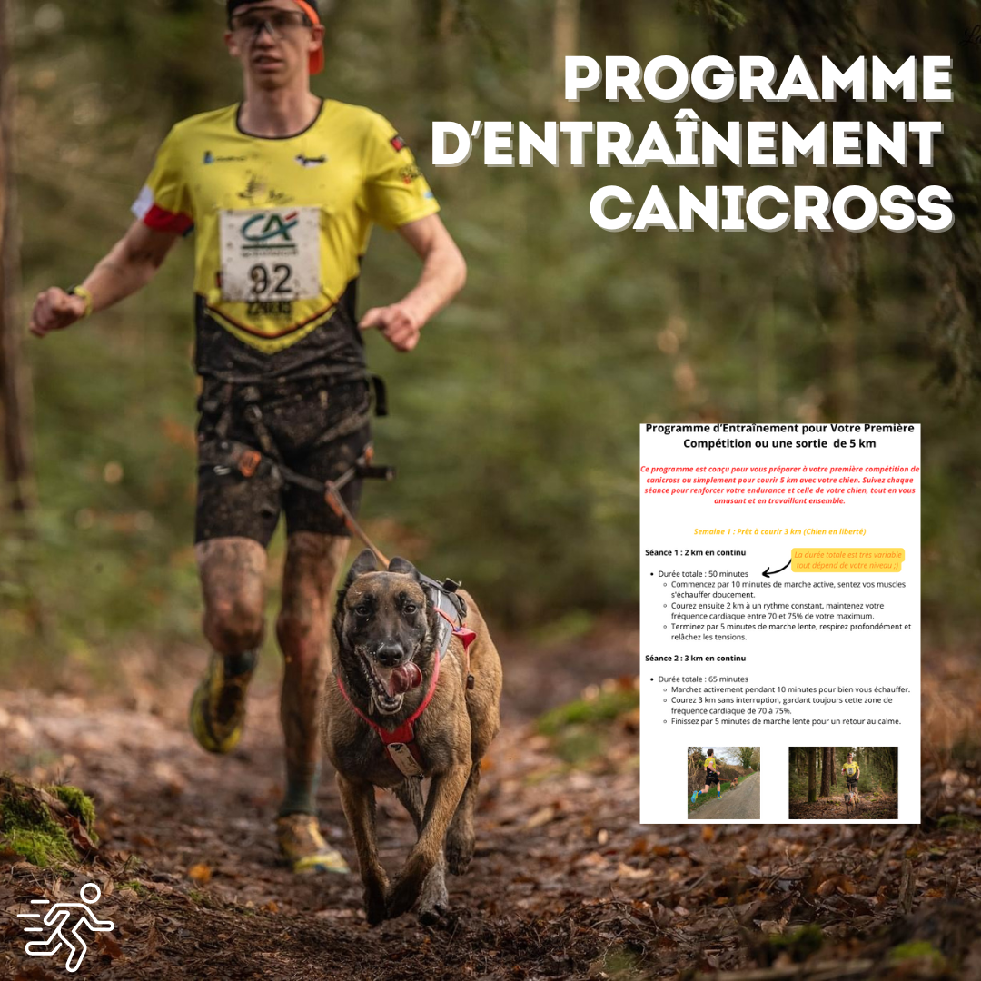 Programme d'entraînement Canicross pour les débutants